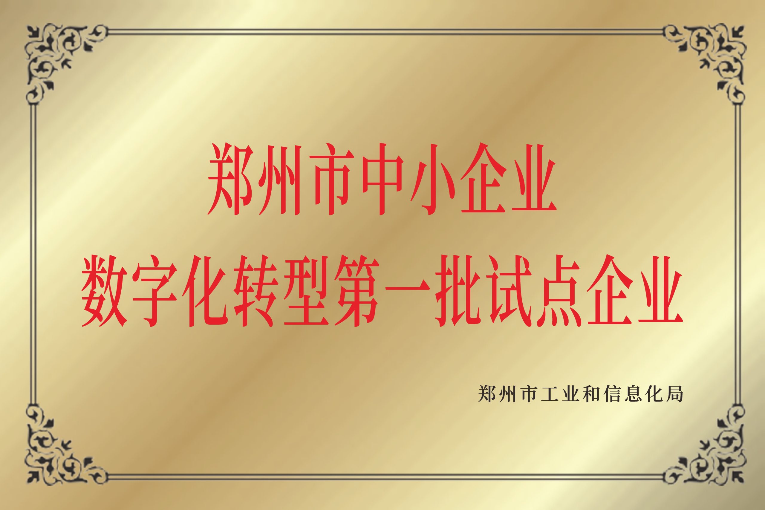 数字化转型试点企业